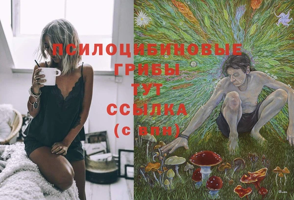 a pvp Баксан